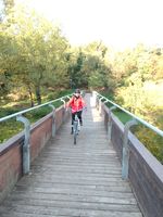 Cinzia e-bike.jpg